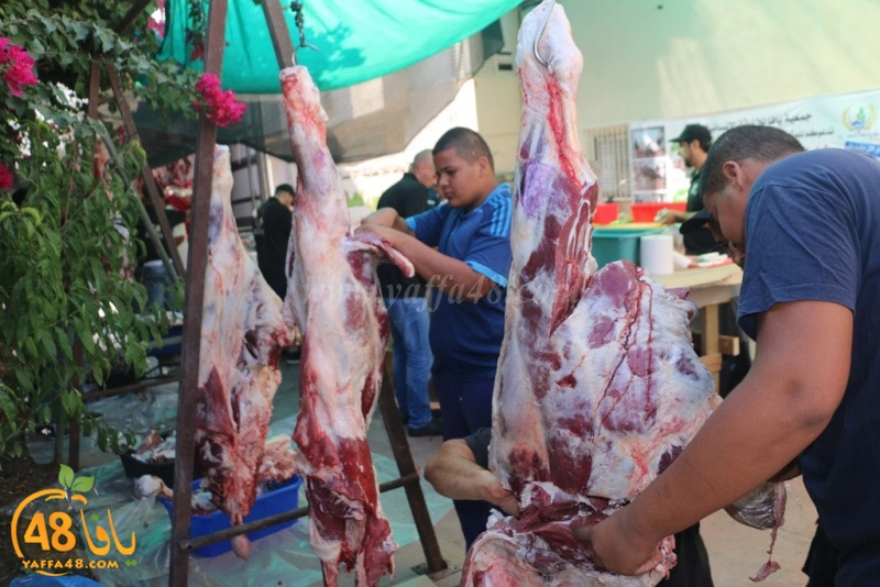 lod8om ada73y (87).JPG